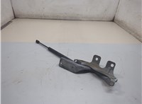  Петля капота Nissan Murano 2008-2015 21159461 #1