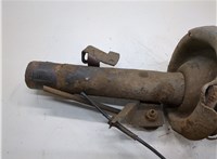  Амортизатор подвески Ford Focus 2 2008-2011 21159509 #3