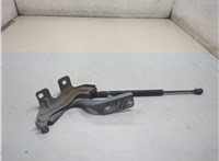  Петля капота Nissan Murano 2008-2015 21159689 #1