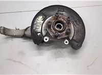 104431600E Ступица (кулак, цапфа) Tesla Model 3 2017-2023 21160863 #1