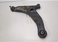  Рычаг подвески Mitsubishi Grandis 21160973 #1
