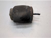  Пневмоподушка BMW X5 E53 2000-2006 21161160 #1