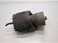  Пневмоподушка BMW X5 E53 2000-2006 21161162 #1