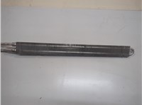 17217800368, 7800368 Радиатор масляный BMW 7 E65 2001-2008 21161772 #2