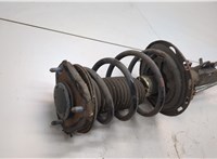 485108Z016, 481310F120 Амортизатор подвески Toyota Verso 2009-2018 21163759 #2