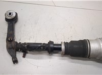 A2203202438 Амортизатор подвески Mercedes S W220 1998-2006 21164355 #1