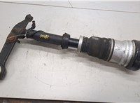 A2203202438 Амортизатор подвески Mercedes S W220 1998-2006 21164355 #4