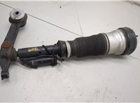 A2203202438 Амортизатор подвески Mercedes S W220 1998-2006 21164384 #4