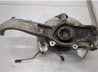 104431600E Ступица (кулак, цапфа) Tesla Model 3 2017-2023 21164459 #1