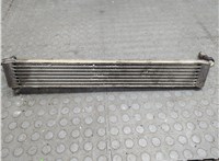  Радиатор масляный Mercedes C W203 2000-2008 21172061 #1