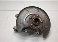 104441100F Ступица (кулак, цапфа) Tesla Model 3 2017-2023 21172073 #1