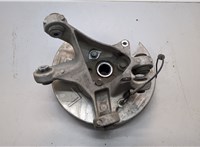 104441100F Ступица (кулак, цапфа) Tesla Model 3 2017-2023 21172073 #3