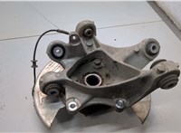 104441100F Ступица (кулак, цапфа) Tesla Model 3 2017-2023 21172073 #5