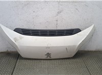 1611681080 Воздухозаборник Peugeot Boxer 2014-2025 11809376 #4