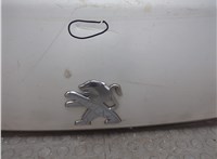 1611681080 Воздухозаборник Peugeot Boxer 2014-2025 11809376 #12