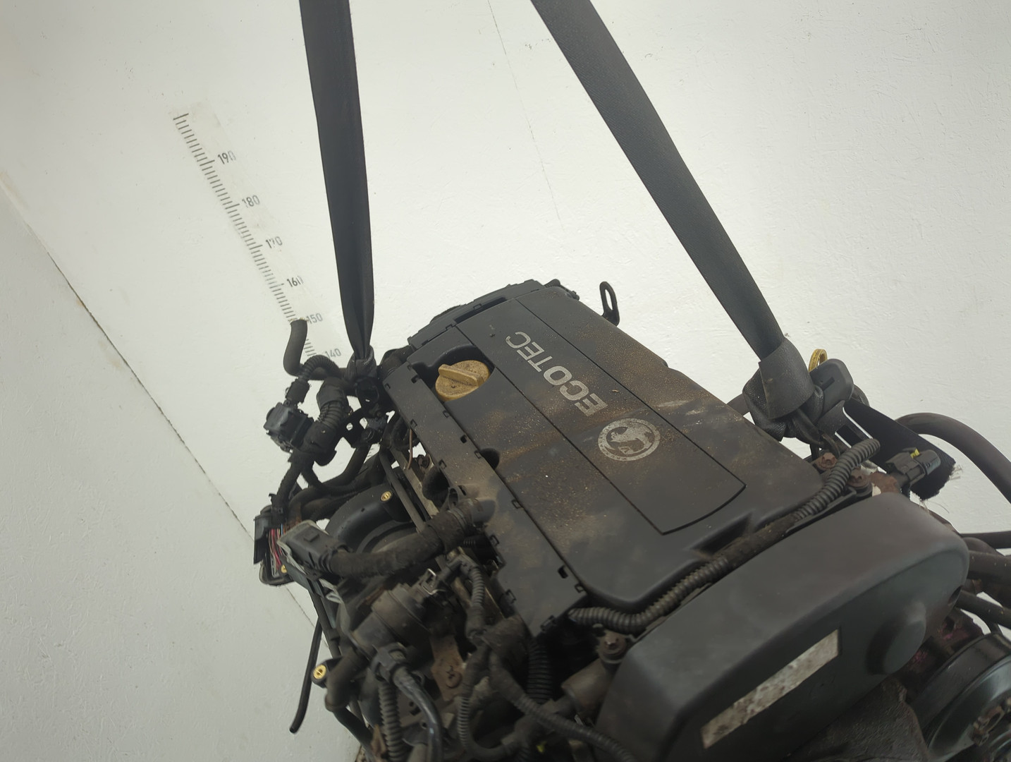 AP-0017784636 AP-0017784636