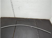 108351900C Молдинг крыши Tesla Model 3 2017-2023 21174036 #1