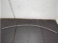108352000C Молдинг крыши Tesla Model 3 2017-2023 21174044 #1