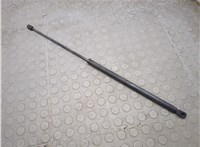 A2208800329 Амортизатор капота Mercedes S W220 1998-2006 21177913 #1