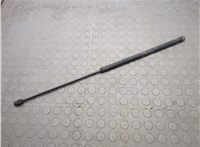 A2208800329 Амортизатор капота Mercedes S W220 1998-2006 21177918 #1