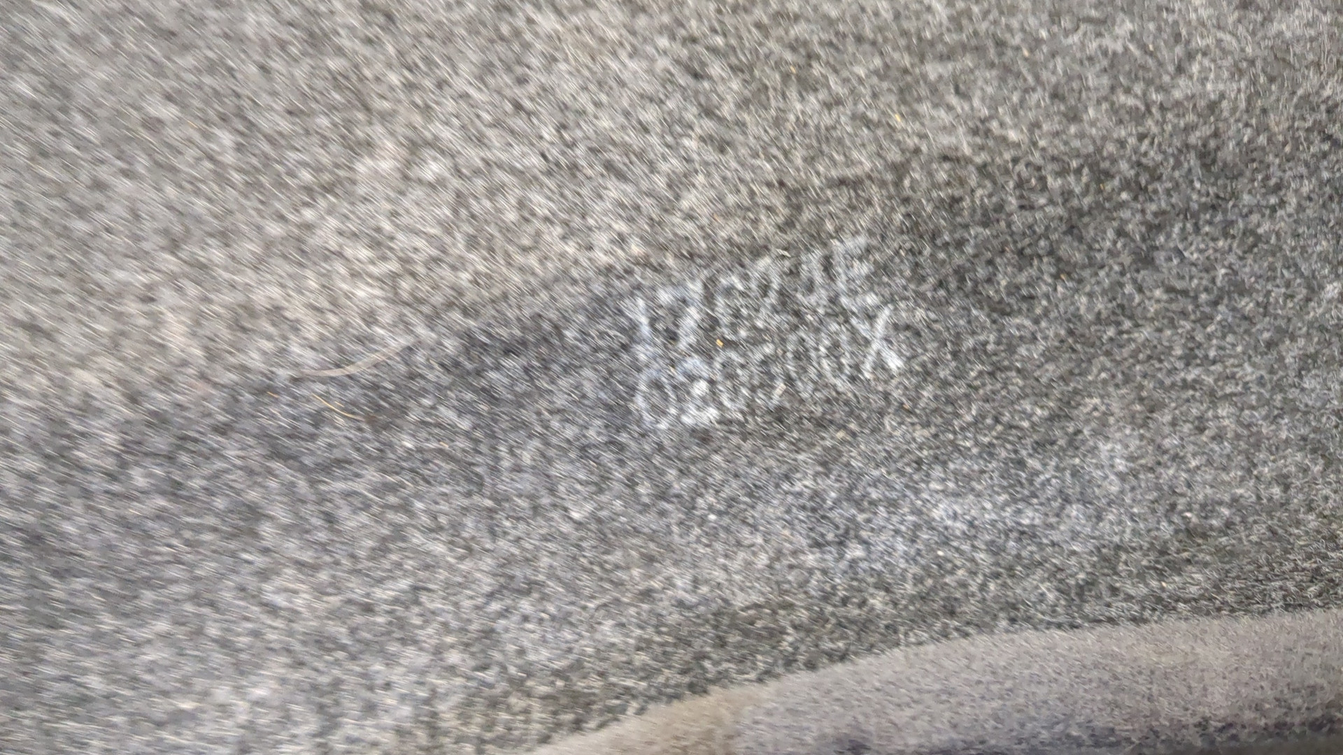 Полка