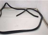  Уплотнитель Hyundai Staria US4 21185550 #1