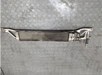 A1695000200 Радиатор масляный Mercedes A W169 2004-2012 21187507 #1