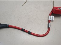 61139217032, 9217032 Клемма аккумулятора BMW 7 F01 2008-2015 21188469 #1