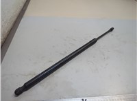  Амортизатор крышки багажника Ford Bronco Sport 2020-2024 21188651 #1