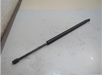 22902995 Амортизатор крышки багажника Cadillac Escalade 3 2006-2014 21188657 #1