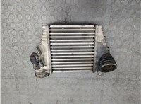  Радиатор интеркулера Volkswagen Golf 4 1997-2006 21191864 #1