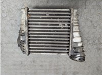  Радиатор интеркулера Volkswagen Golf 4 1997-2006 21191864 #2