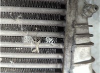  Радиатор интеркулера Volkswagen Golf 4 1997-2006 21191864 #3
