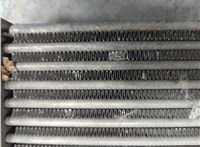  Радиатор интеркулера Volkswagen Golf 4 1997-2006 21191864 #4