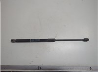 654711LA0A Амортизатор капота Infiniti QX56 2010-2013 21194505 #1