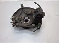 1K0407621F, 3C0407253F, 1K0615311F Ступица (кулак, цапфа) Volkswagen Passat 6 2005-2010 21196309 #2