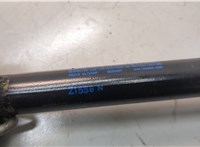 51247204366, 7204366 Амортизатор крышки багажника BMW 5 F10 2010-2017 21197669 #2
