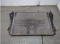  Радиатор интеркулера Volkswagen Passat CC 2008-2012 21197736 #5