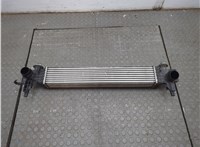 42589952 Радиатор интеркулера Chevrolet Trailblazer 2019- 21197836 #1