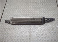 EJ737A095AE Радиатор масляный Ford Escape 2015-2019 21198721 #1