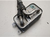 17217519213, 7519213 Теплообменник BMW 6 E63 2003-2010 21197088 #2