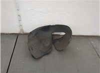 3C0805978 Защита арок (подкрылок) Volkswagen Passat 6 2005-2010 21198478 #1