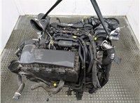 0135GL Двигатель (ДВС) Peugeot 307 2001-2008 21203196 #9