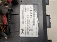  Блок управления бортовой сети (Body Control Module) Hyundai Coupe (Tiburon) 2002-2009 21207806 #5
