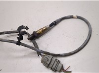 97060617301 Лямбда зонд Porsche Panamera 2009-2016 21214950 #1