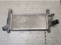  Радиатор интеркулера Nissan Pathfinder 2004-2014 21215300 #5