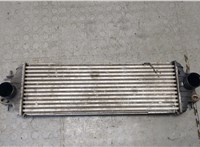  Радиатор интеркулера Renault Trafic 2001-2014 21215316 #1