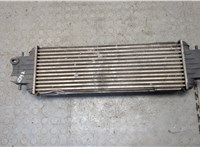  Радиатор интеркулера Renault Trafic 2001-2014 21215316 #2