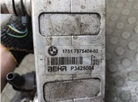 13717575405, 7575405 Радиатор интеркулера BMW 7 F01 2008-2015 21216275 #4