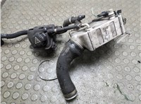 13717575405, 7575405 Радиатор интеркулера BMW 7 F01 2008-2015 21216275 #5